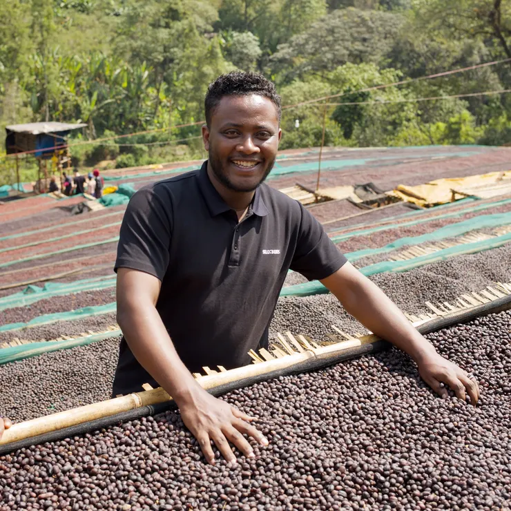 耶加雪菲 厭氧日曬 蓋德奧 愛美芮小農