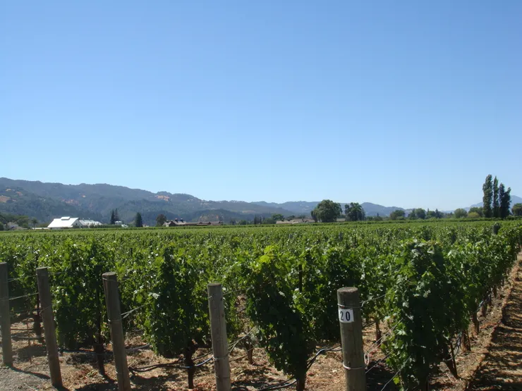 Napa Valley