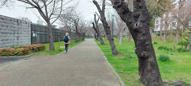 人很少走起來很舒服