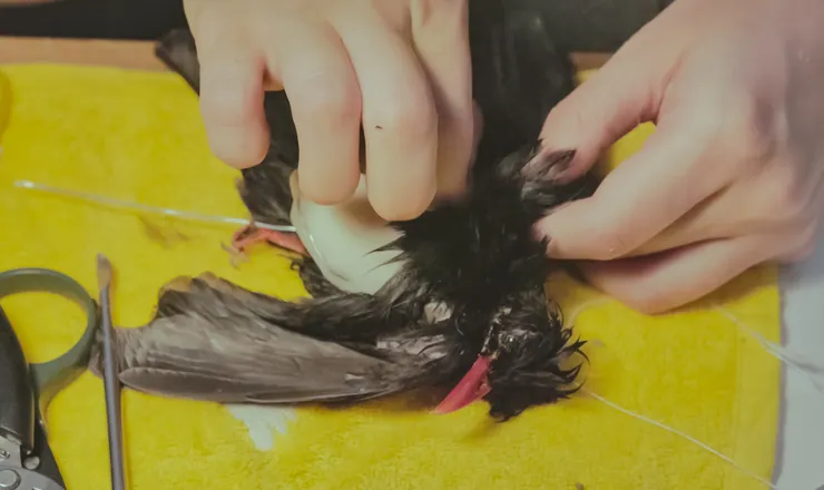 圖片來源:職名事