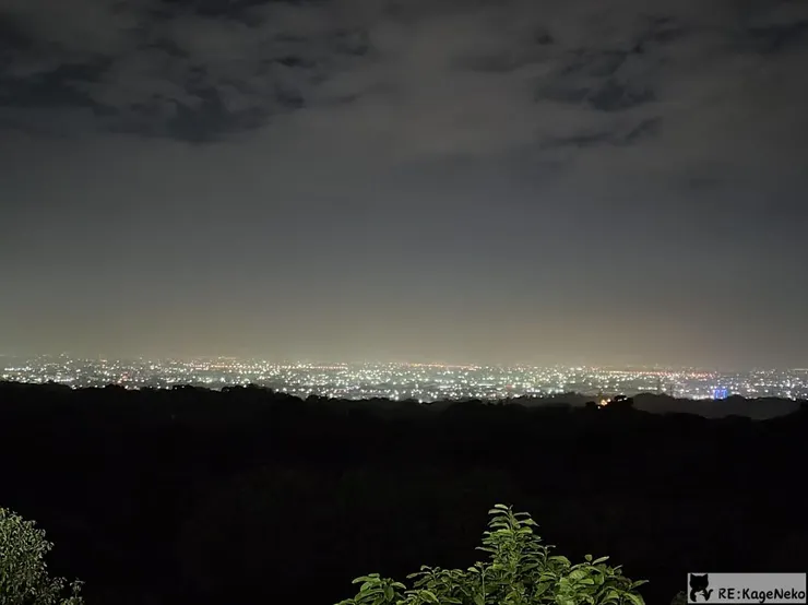 貓頭鷹廣場夜景