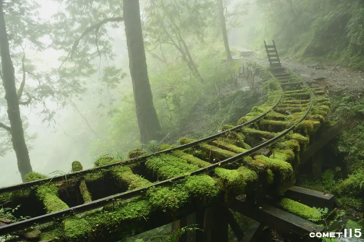 見晴線在結束伐木之後考量山地觀光並未立即撤除，但後續改善計畫不了了之，卻也造就神秘感十足的鐵道遺跡。