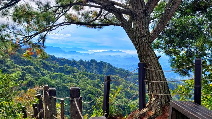 【高峰亭海拔七百有無窮風光變化】