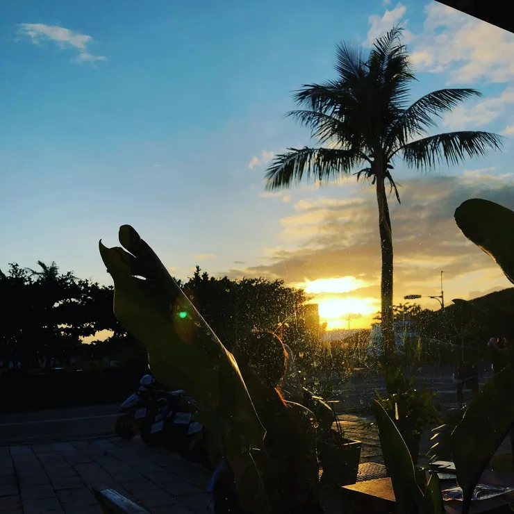 (圖/innside_coffee IG)