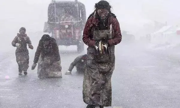 再大的風雪險阻也攔不住朝聖者長跪叩首的步履