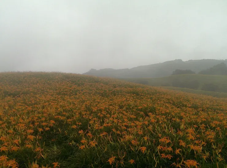 放上自己愛的六十石山。起霧的時候像是夢境一樣。