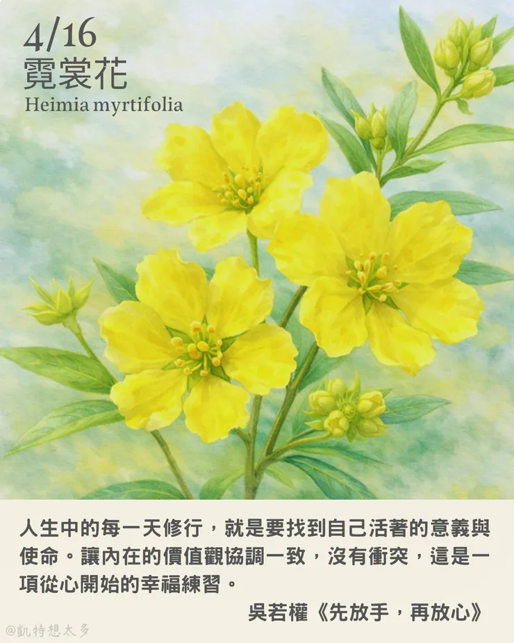 霓裳花×吳若權《先放手，再放心》