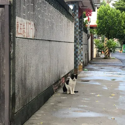 金魚微微笑的沙龍