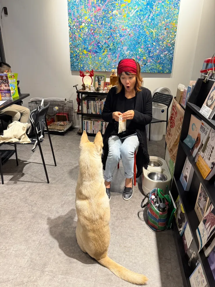 「你想要吃零食嗎？你要站好好喔！」（設計對白）