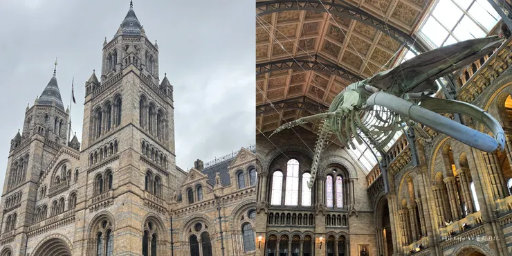 自然史博物館 Natural History Museum