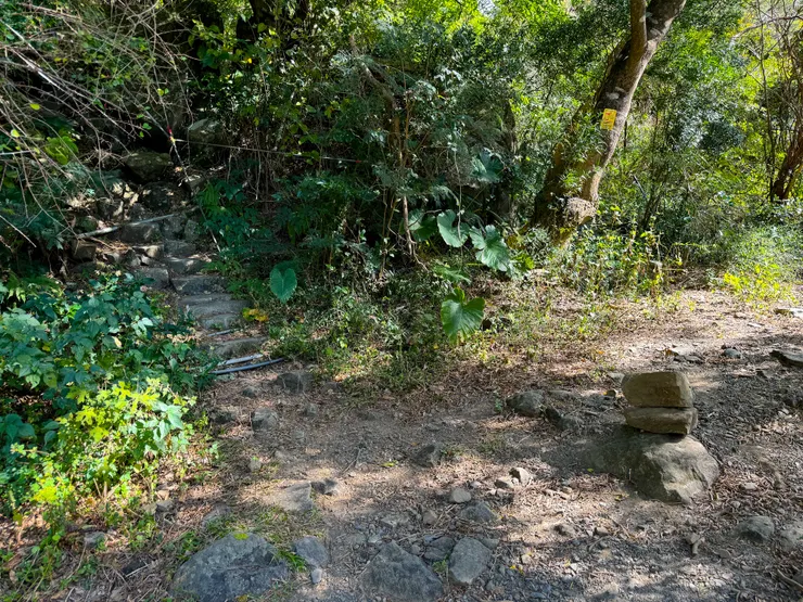 一小段平路後左方陡上