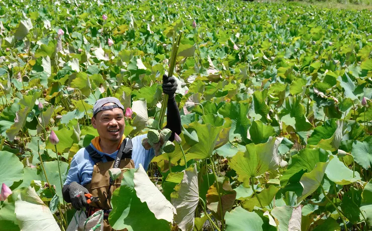彩田友善農作的執行長楊儒門。親子天下楊煥世攝。