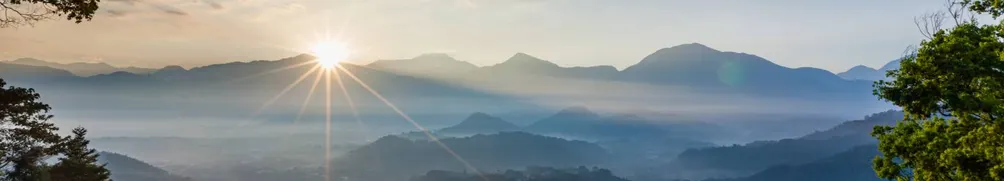 妙哉心理師的沙龍