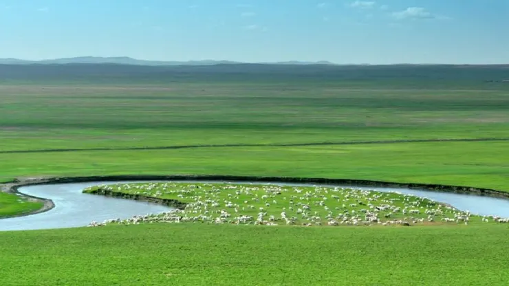 呼倫貝爾大草原