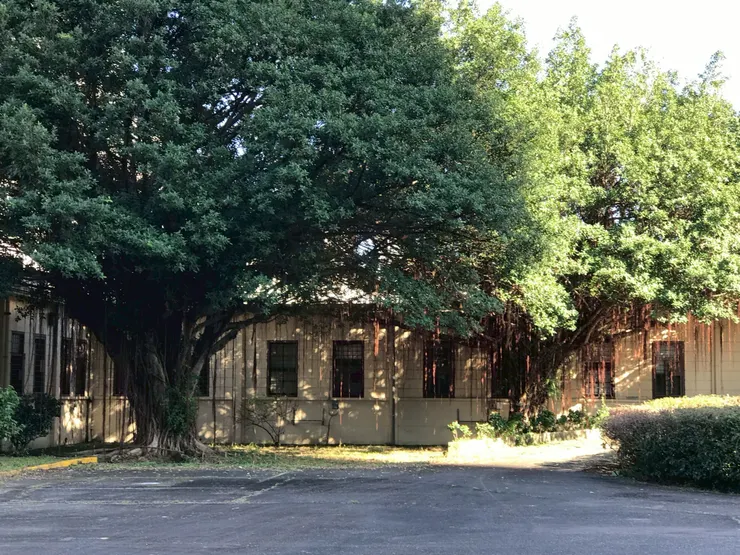 中央主建築群（2021年。筆者友人提供）