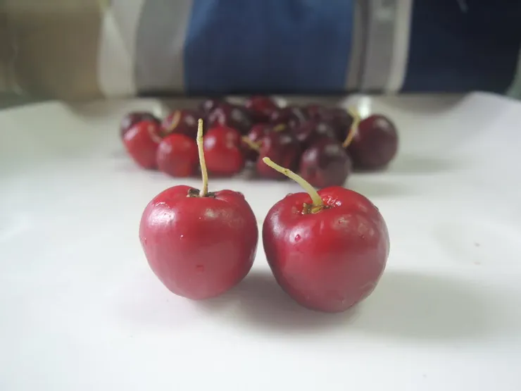 雖然比較酸嘴，但外觀還是很誘人的