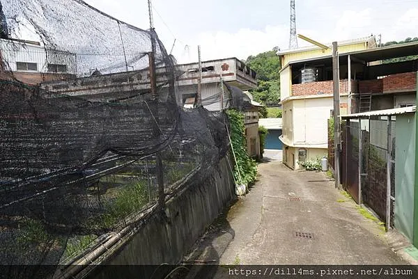 校門看過去的巷道，外面是苗55鄉道（坪林道路）