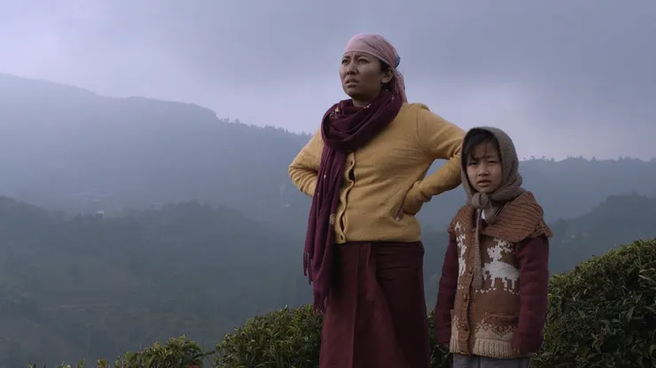 《那山那狗那女孩》電影劇照／金馬影展