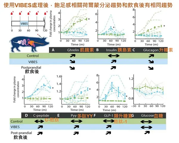 飽足感相關的荷爾蒙分泌分析 [以文章內圖修改]。