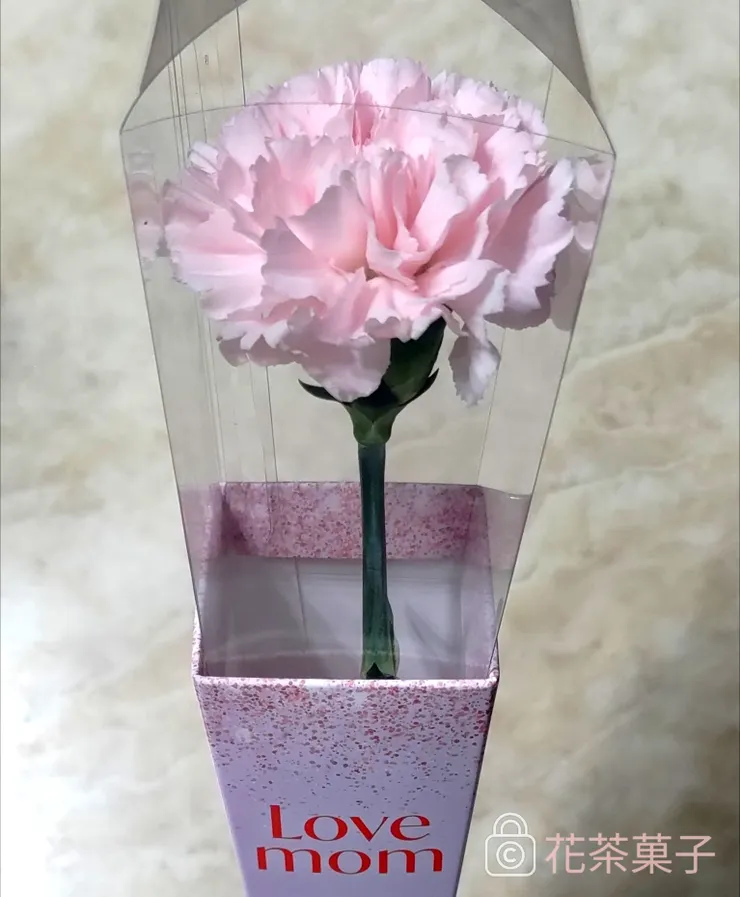 小七康乃馨/菓子拍攝