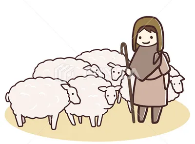 迷路羊群收容所