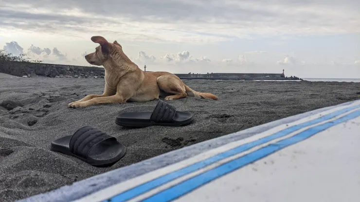 金樽漁港/台東/Steven攝