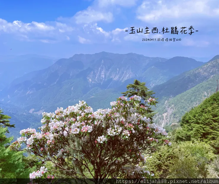 【玉山主峰西峰.兩天兩夜】冷到爆炸的玉山主峰賞雲海/一直走花