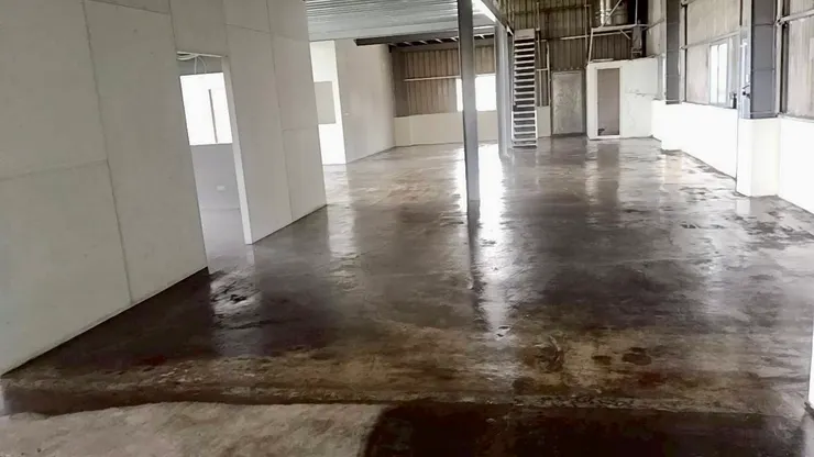 面漆採用專業噴塗設備配合手動滾筒，確保漆面平整如鏡。