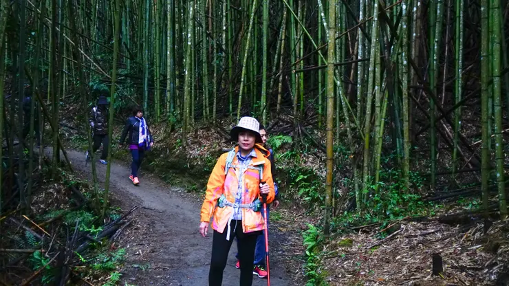 桂竹林內就是舊部落所在地