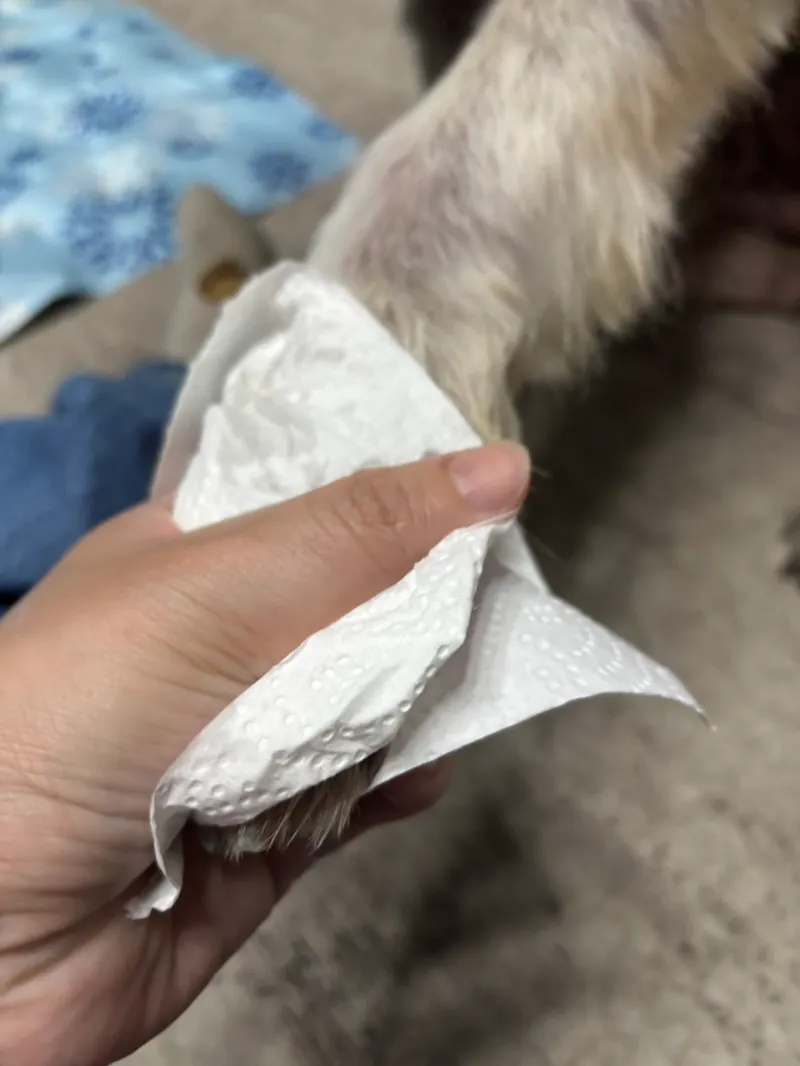 src