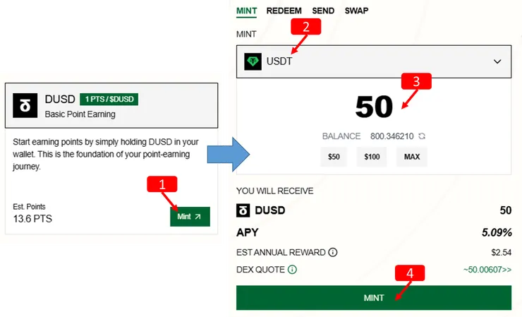 DUSD MINT教學:如何鑄造你的第一筆DUSD