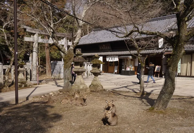 古梅園製墨販賣部外面也有鹿駐守:)