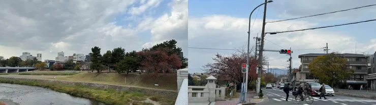 天氣陰陰的，但走在街上很舒服！(圖片來源：自行拍攝)