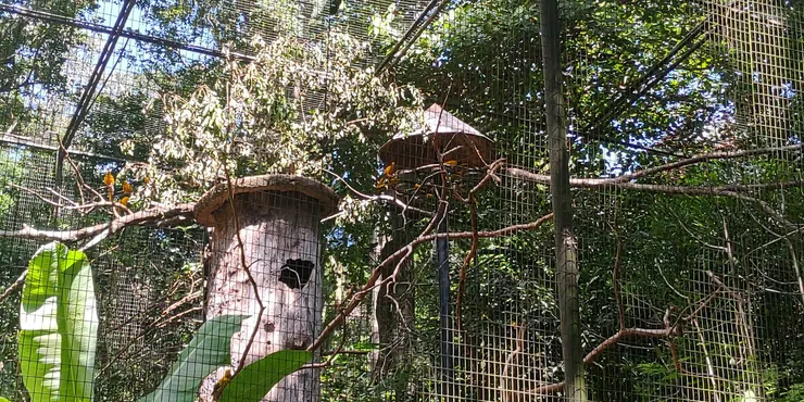 開放的蝴蝶園區，成群蝴蝶在空中翩翩起舞，有些甚至會停在帽子上。怕蟲的朋友…後果不敢想像😅