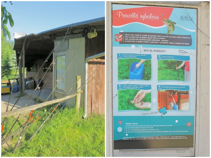 現場有提供釣竿可以免費租借，還提供魚餌，也有英文說明看板，不用擔心看不懂不會操作