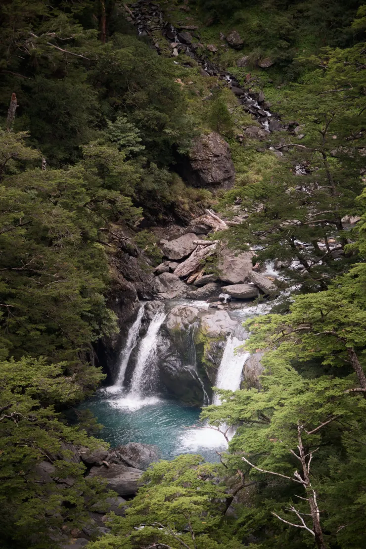 在合歡溪步道上都是這樣的風景，海拔2500m以上有溪水又這麼親民的路線不多！ 