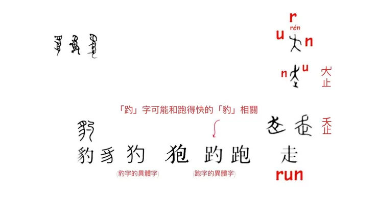 【附圖：「豹、犳、狍、趵、跑、走」字形演化】