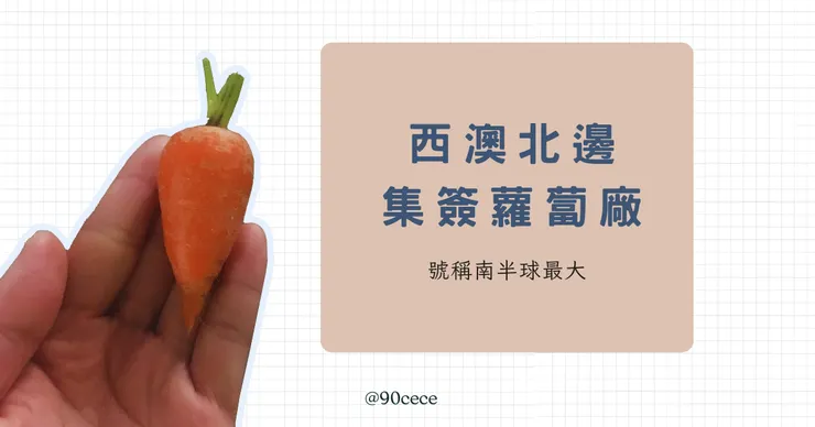 西澳Lancelin蘿蔔包裝工廠