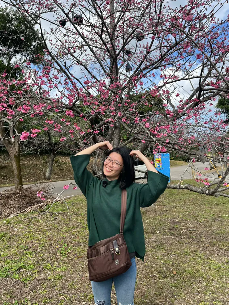 找一株花比較多的櫻花樹拍照