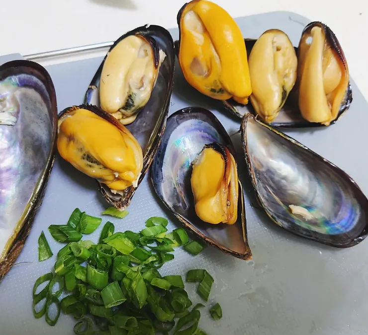 貝殼內側，美麗、夢幻般的虹色暈彩。