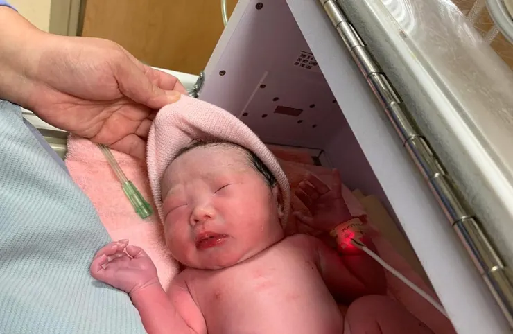 剛出生在保溫箱