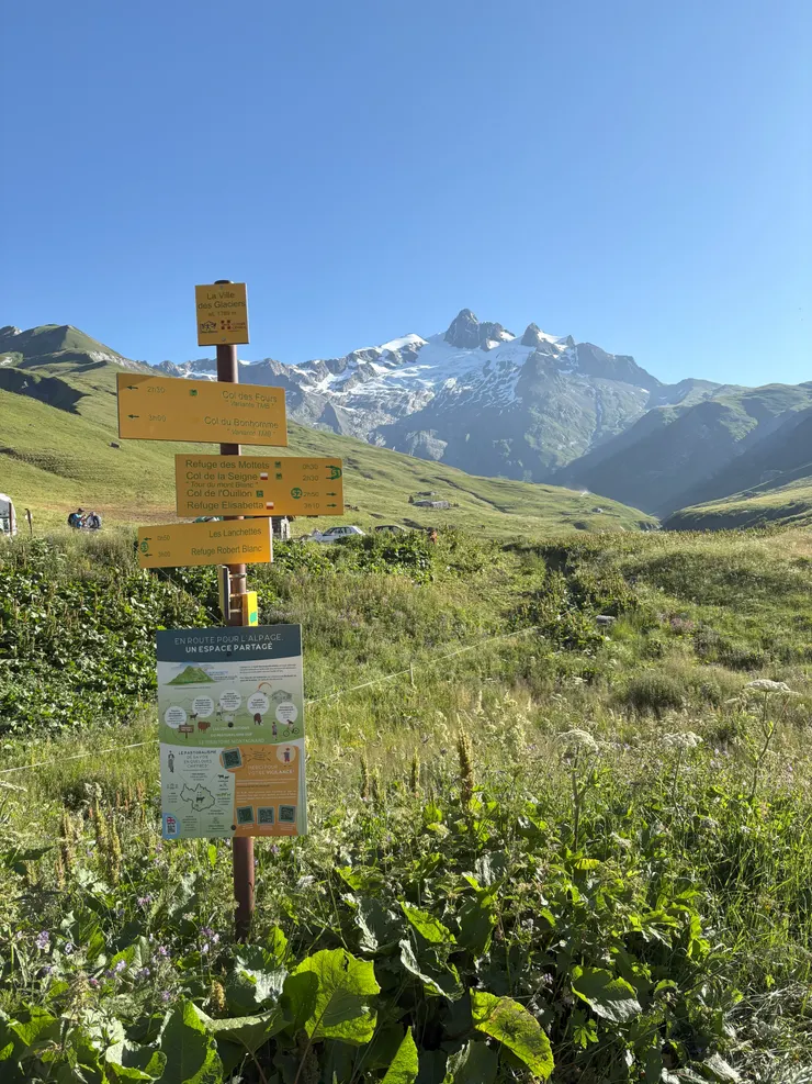 今天從這開始走