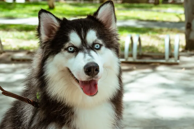 圖片來源：職名事側拍花絮