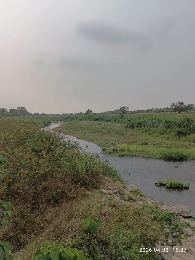 雲灰愁淡佳堤徑