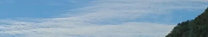 曉光出走的沙龍