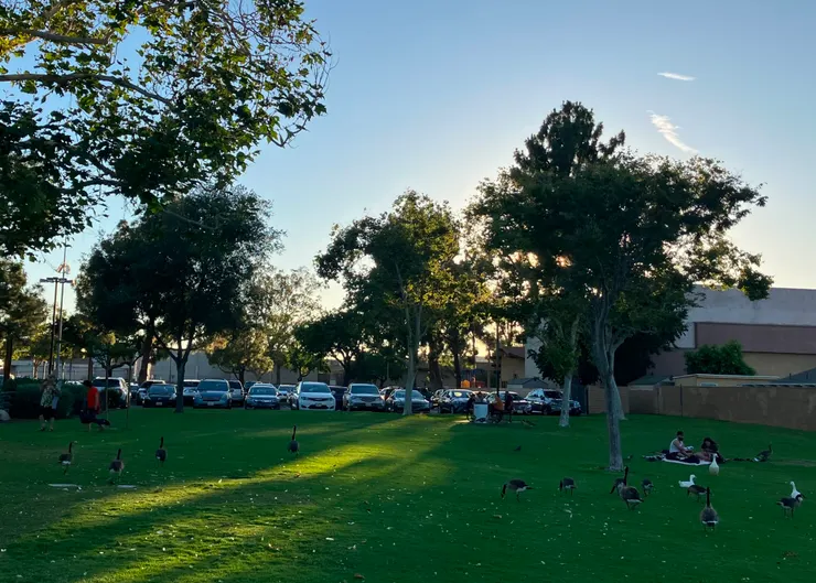 一隻鵝一個便便；N個鵝，Ｎ個便便