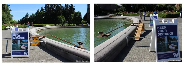 美國地大物博加上他們如此貼心的設計,在這裡生長的動物和鳥禽們都好幸福快樂啊!(圖來自網路)