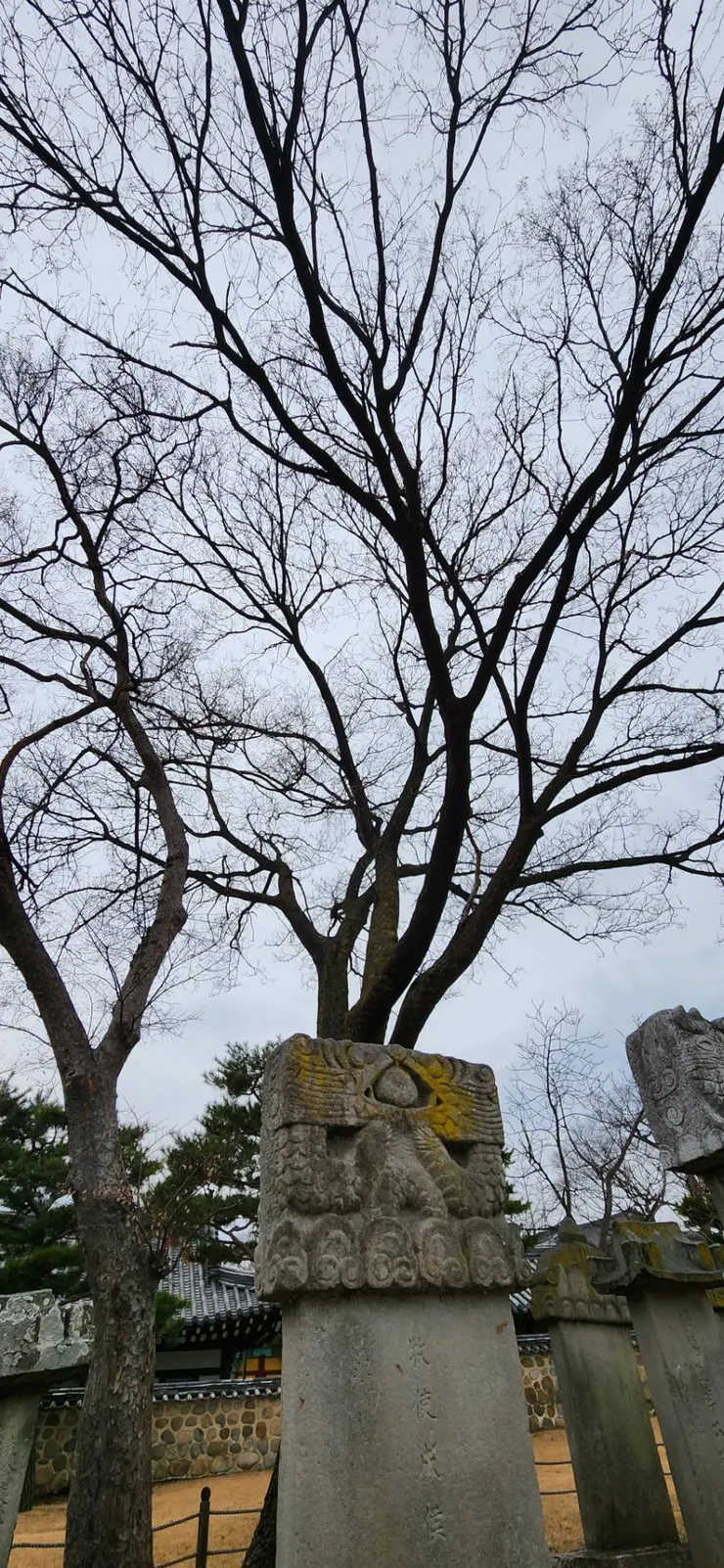 城堡現在是博物館，旁邊有戰役後的義士墓區