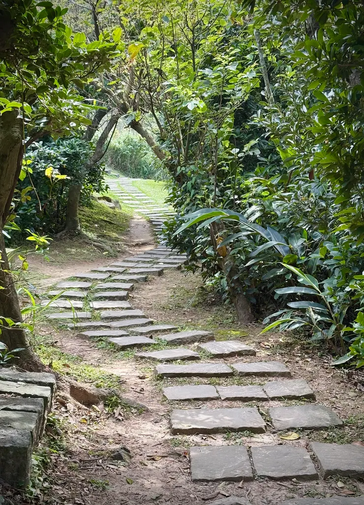 小岔路走進去20公尺，就是第三個觀景台