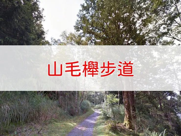 【宜蘭】山毛櫸步道 | 全長里程：單程3.6公里 | 難易度：低至中級